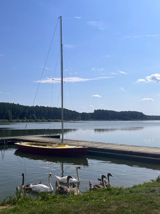 Domki nad jeziorem. Domki na wynajem. Domki w lesie. Domki nad zalewem