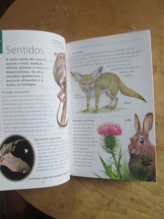 Mamíferos, Enciclopédia do Universo, com CD