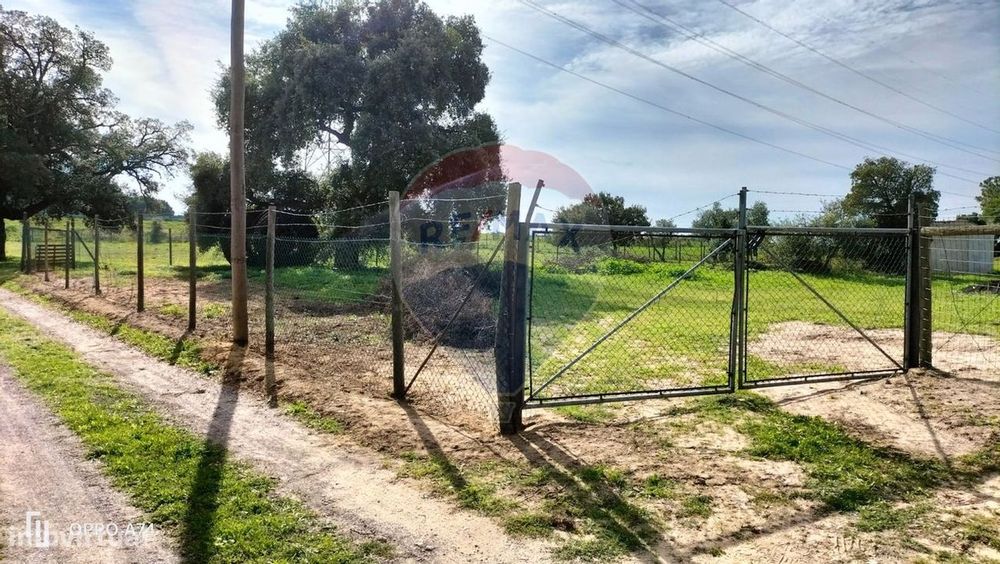 Terreno  para venda