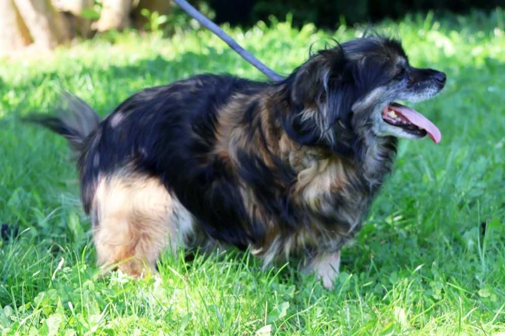 097144 Beatka do adopcji