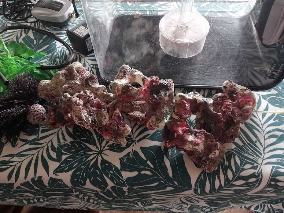 AQUÁRIO BIORB FLOW  MCR PRETO 30L