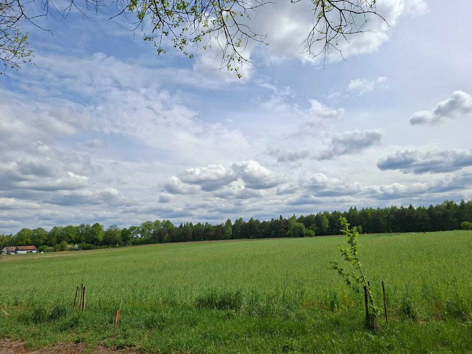 Działka na sprzedaż, Łukta