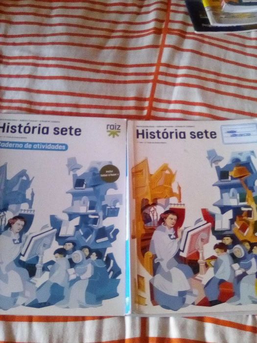 8 ano livros várias disciplinas manuais e actividades.