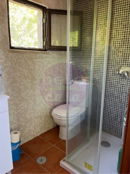 Terreno com vinha e pequeno imovel