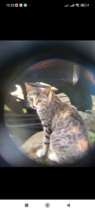 Бинокль мощный 500