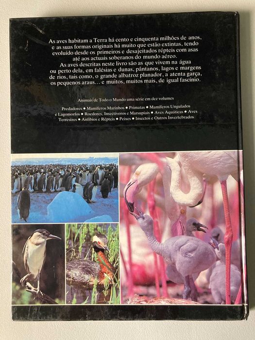 Aves   Aquáticas