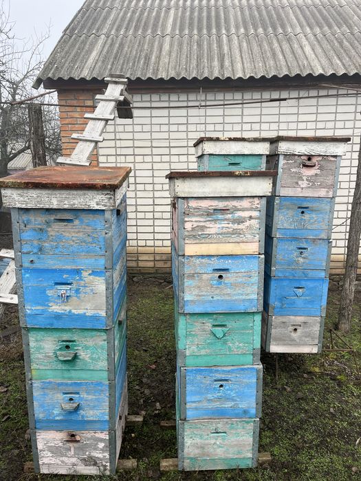 Продам корпусні вулики 10 рамочні