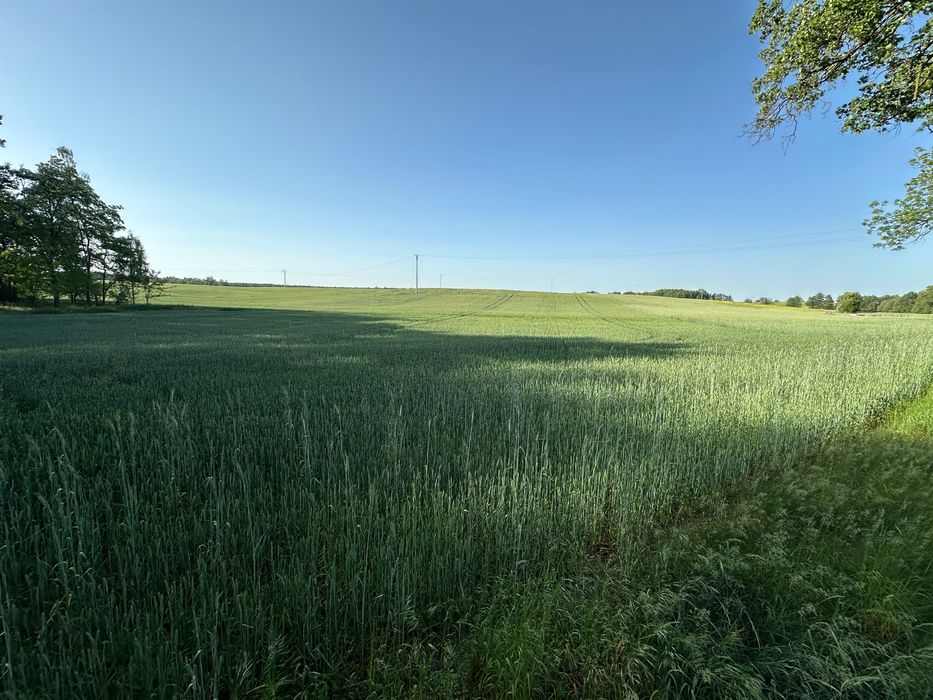 Działki pod rekreację