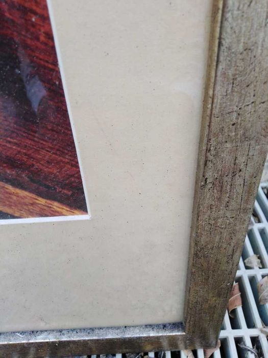 Quadros café para parede