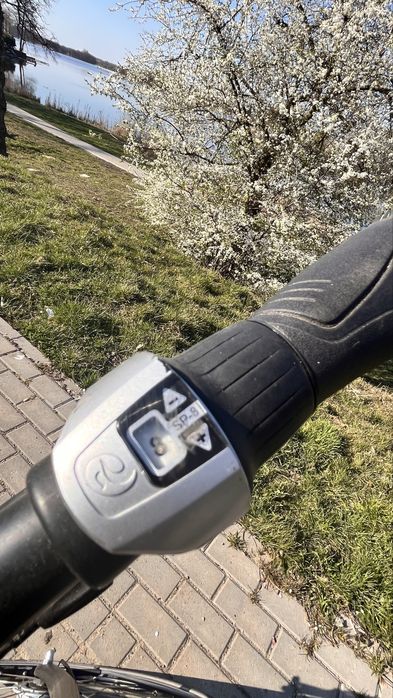 Rower Batavus allround