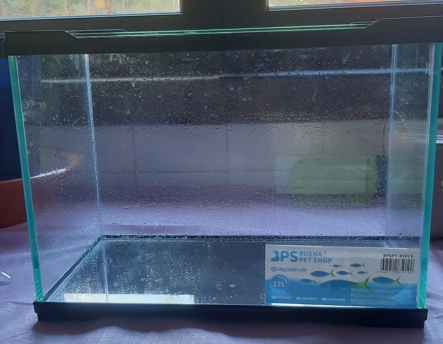 Aquário e acessórios para peixes de água fria