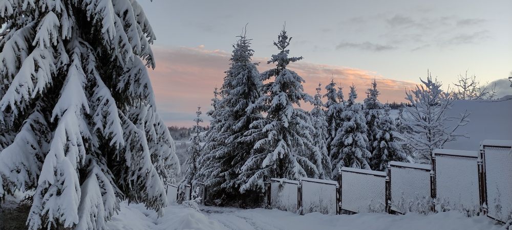 Біла хижа. Ідеальний відпочинок в Карпатах з дітьми. Будинок в горах.