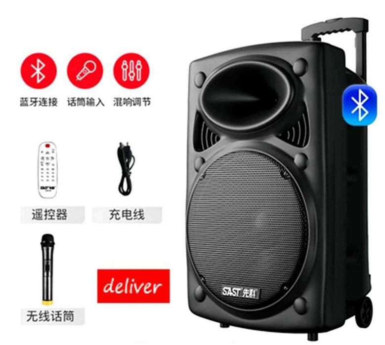 Активная колонка с аккумулятором sast 512