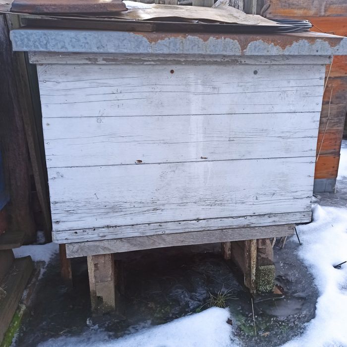 Продам вулики "українка"