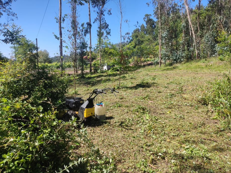 Destrocedor ou triturador de mato