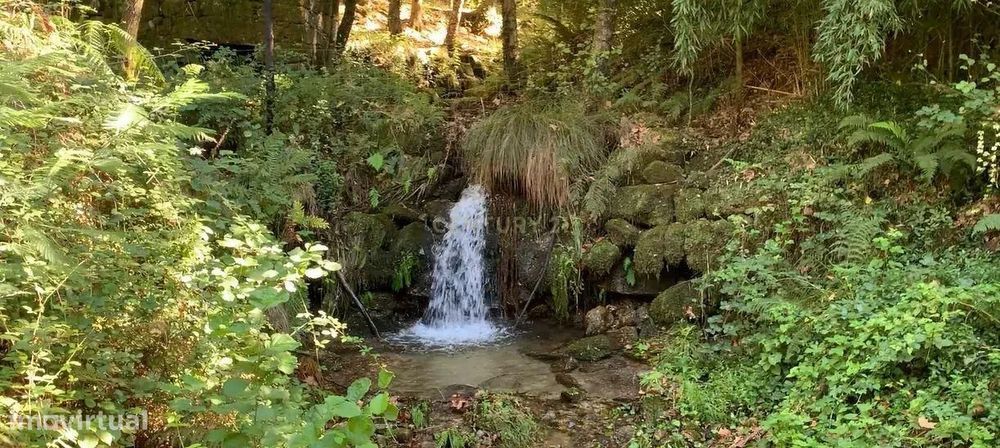Quinta "Floresta Encantada" – Um Paraíso Natural no Norte de Portugal