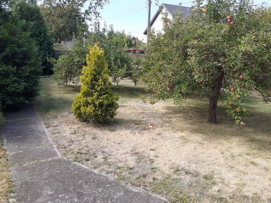 Dom 35 km od Warszawy