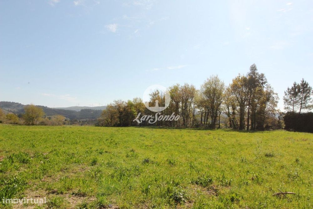 Terreno plano Estorãos Fafe