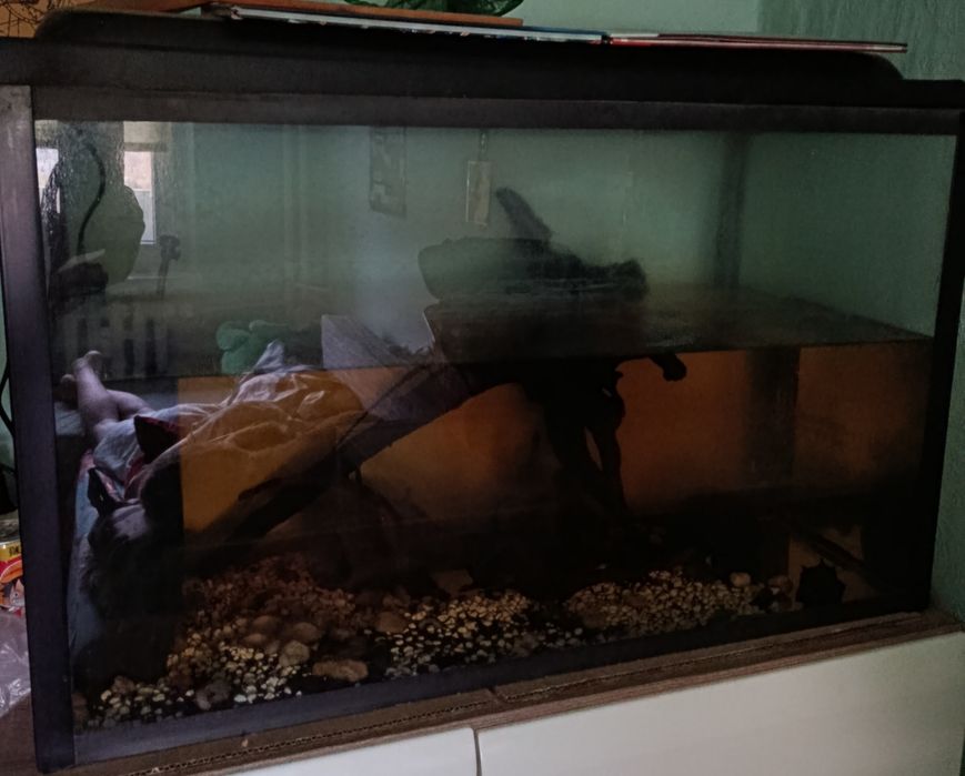 Oddam akwarium 120 litrów