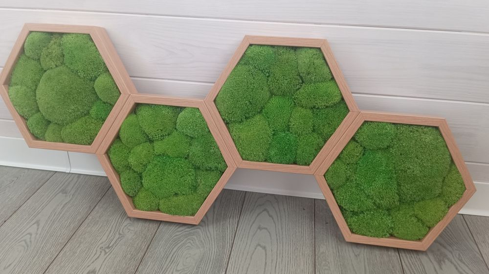 Полки соты с мхом