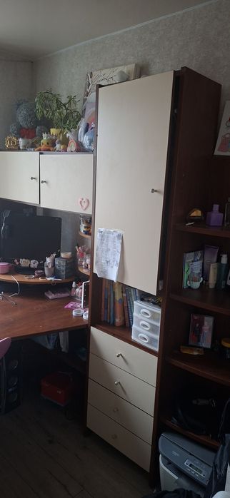 Письмовий стіл та шкаф. Стінка