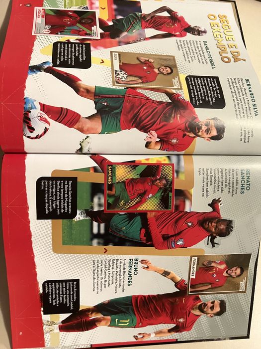 Caderneta Fome de Vencer 2022 Panini 84% completa