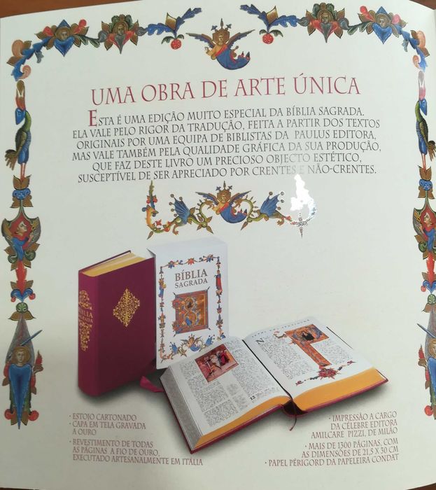 Bíblia Sagrada  Uma obra de arte única