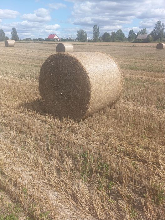 Sprzedam słomę w belach