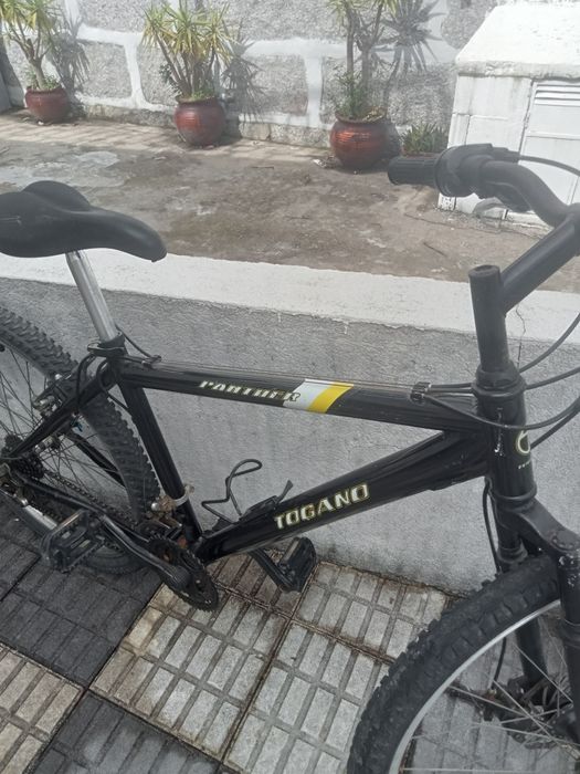 Bicicleta montanha adulto