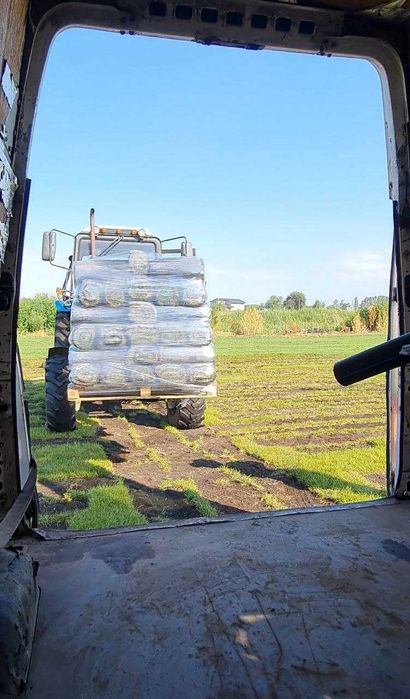 Знижки! Газон в рулонах Рулонний газон та Посівний газон до 31 серпня