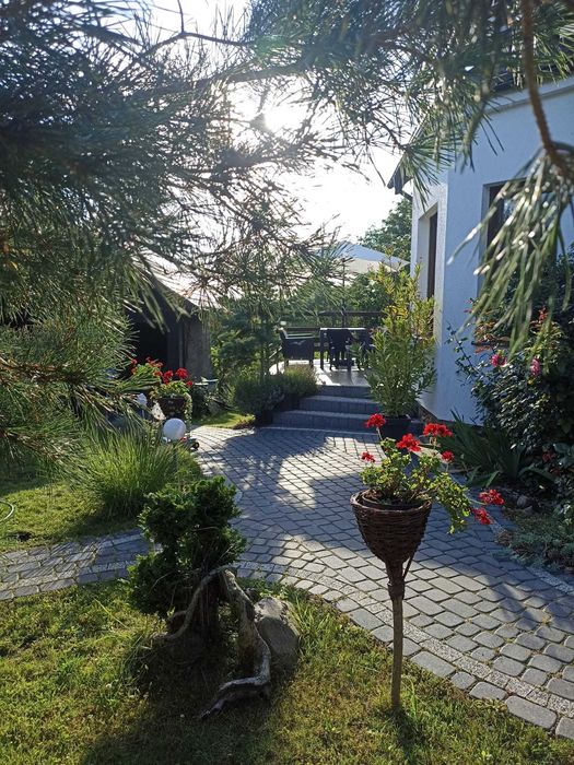 Dom nad jeziorem 70km od Poznania