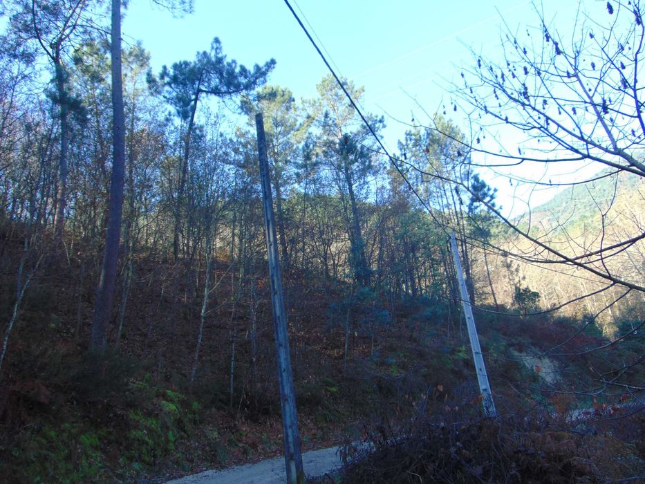 Venda de terreno Gerês perfeito para quem procura paz e tranquilidade.