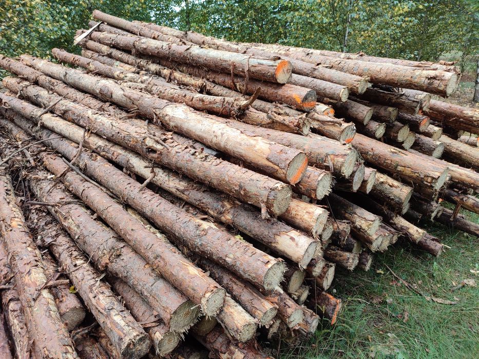 Stemple budowlane nowe