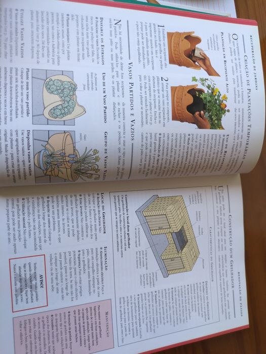 Jardinagem Conselhos e Sugestões de Pippa Greenwood