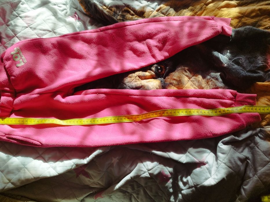 Dresy dziewczęce Lol 134