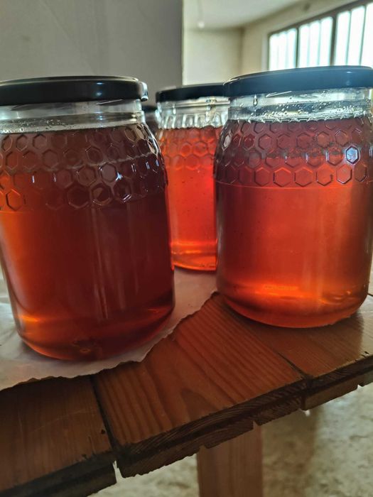 25 kg Mel caseiro 2024