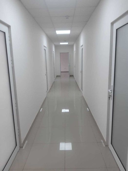 Здам офіс в центрі м.Ужгород, 30м2