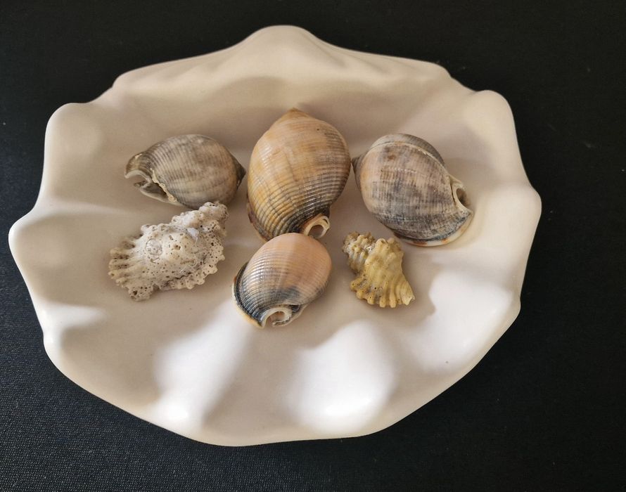 Concha em pó de mármore aromático