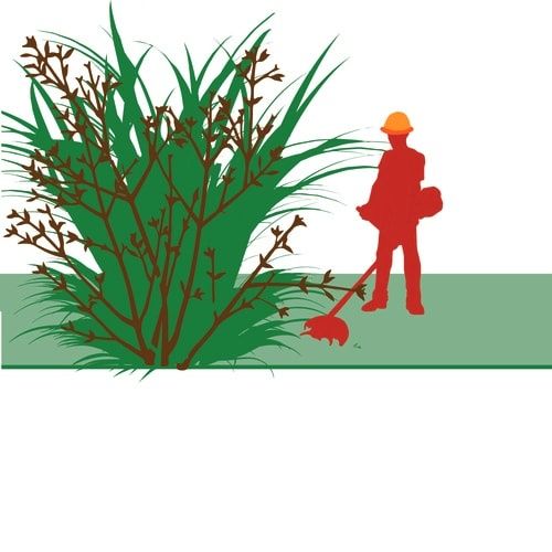 Розчистка ділянок , зачистка територій, косіння трави