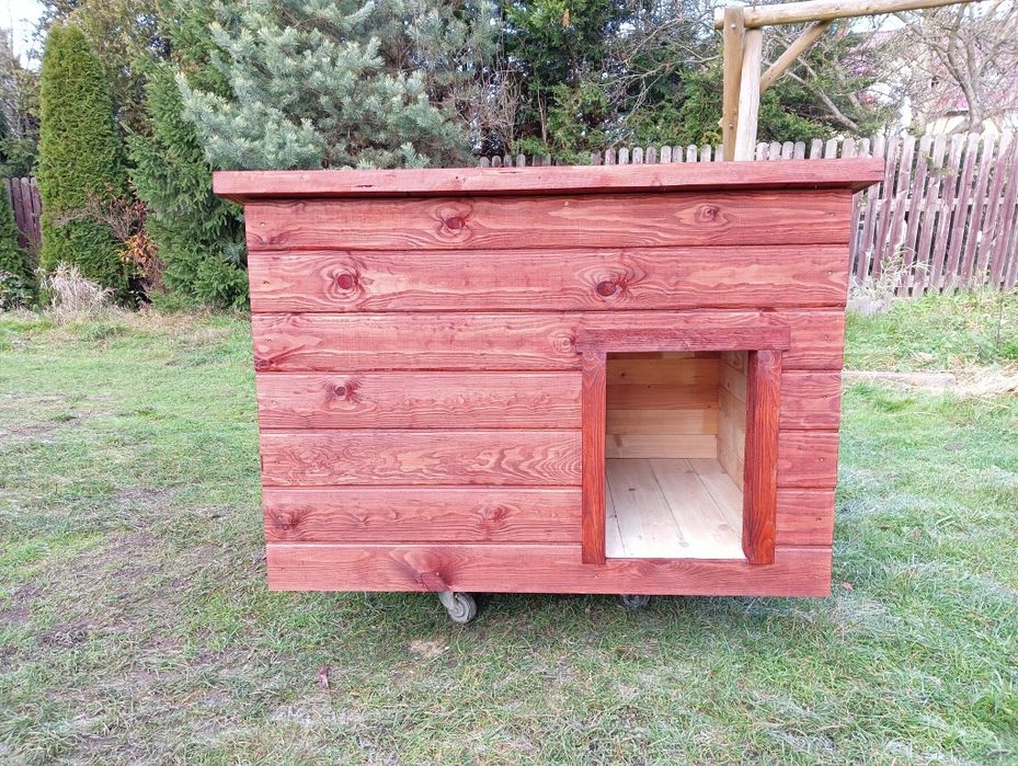 Komfortowa Buda dla Psa