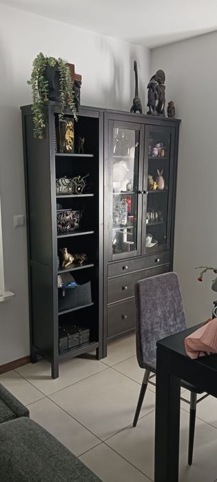 Witryna i regal Hemnes Ikea