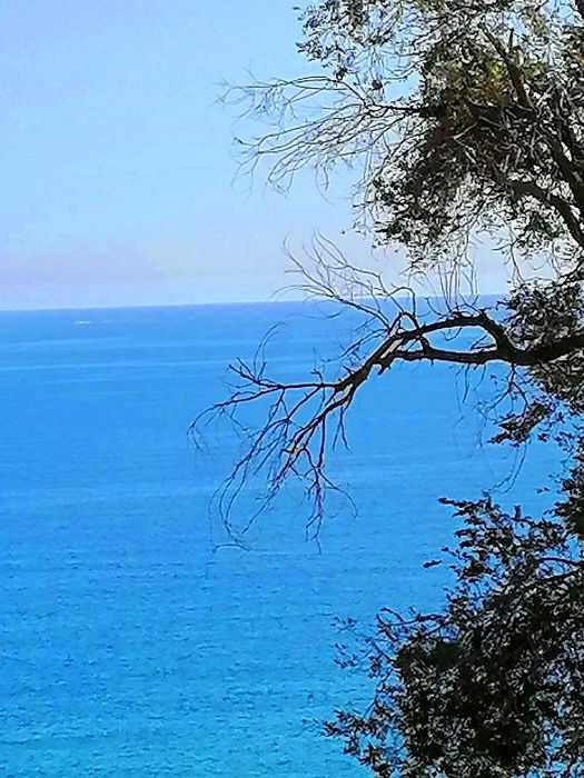 2-кімнатна квартира за адресою (площа 58 м²) - Atlanta.ua - фото 4