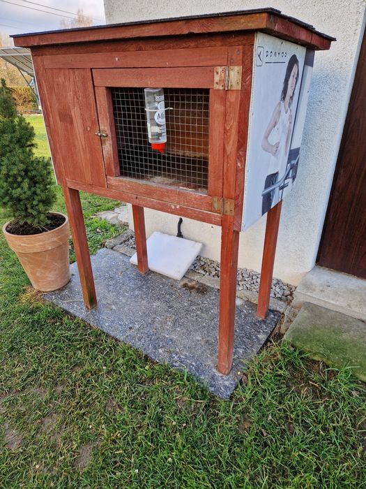 Klatka dla świnek morskich lub królika