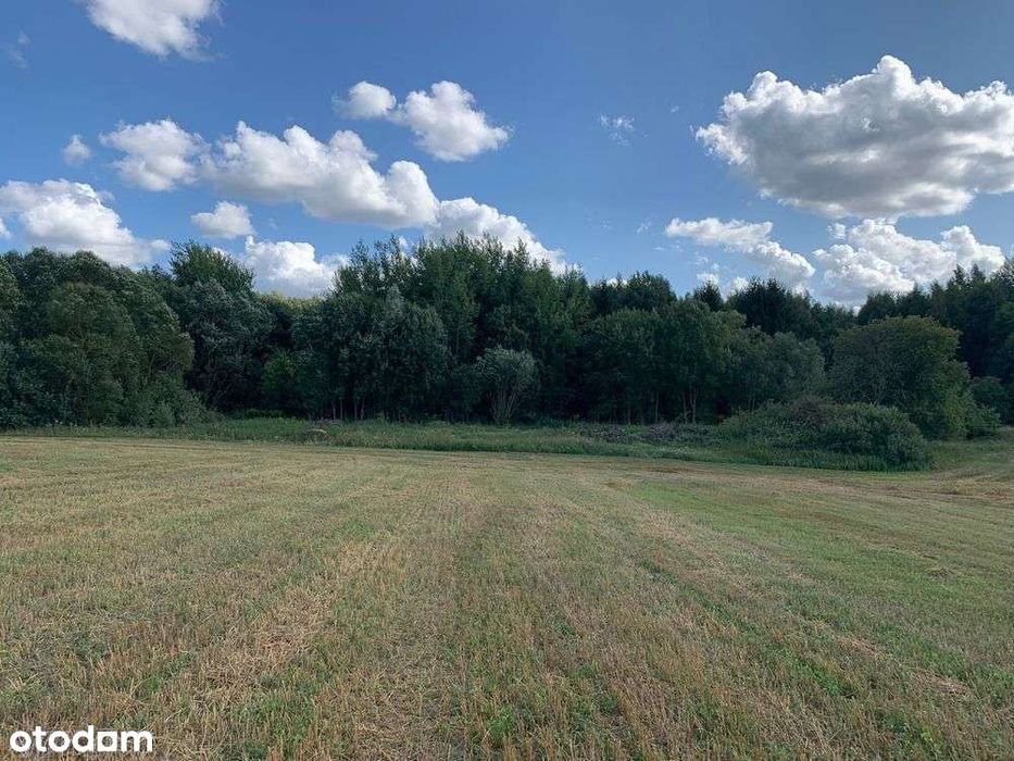 Rogóż, Warmia – działki pod osadę. Gotowe WZ, wsparcie w projektach! – pohled 6