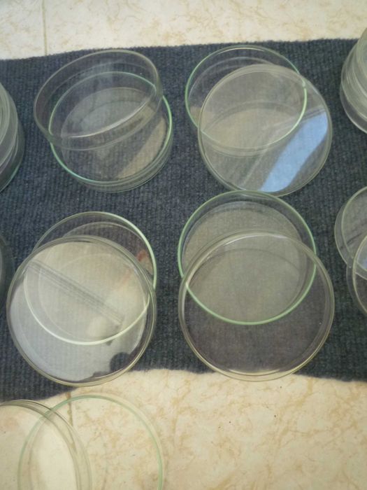 Placas de Petri  de vidro borosilicato 100mm,  80 mm, 70 mm