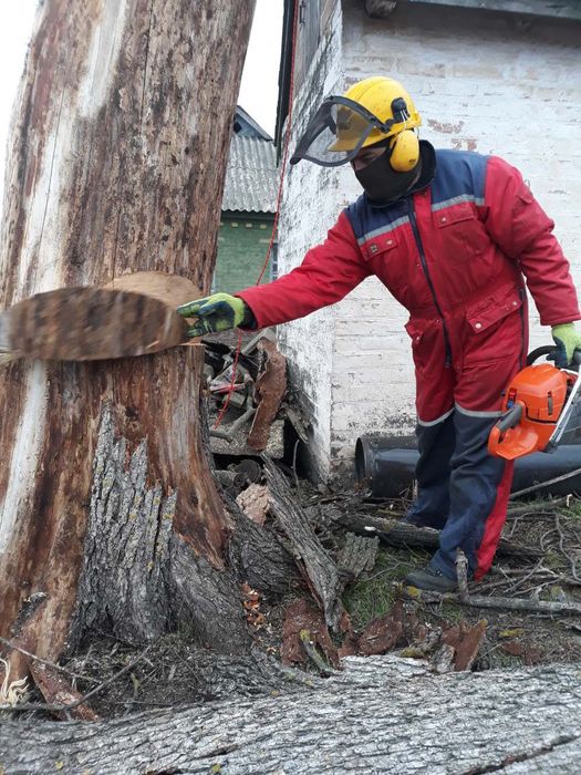 Спил аварійних дерев