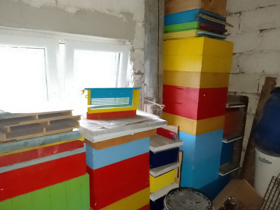 Ule, pszczoły,miód,pasieka,wosk,węza,pszczelarstwo,ramki,wielkopolskie