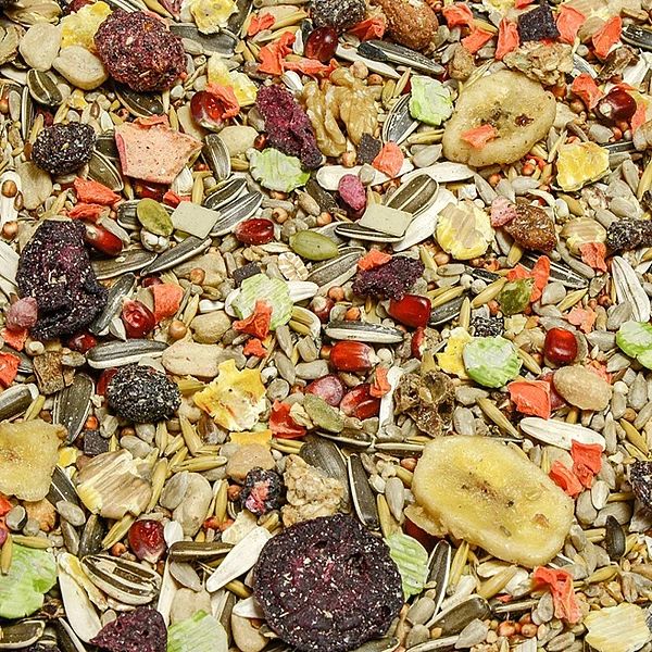 20kg Karma dla PAPUG dużych i średnich KOKTAJL pokarm PREMIUM Champi