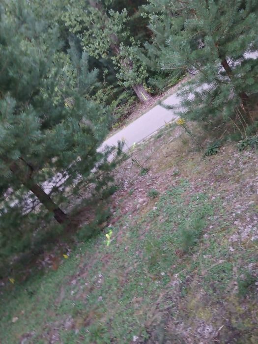 Zdjęcie 3