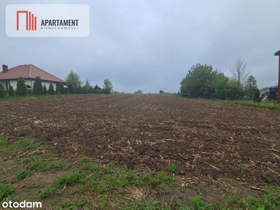 Duża działka w cichej okolicy! - Widok 2